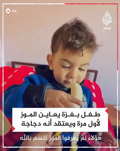 اعتقد أنها دجاجة.. طفل فلسطيني يعاين الموز لأول مرة في غزة بسبب الحصار والتجويع