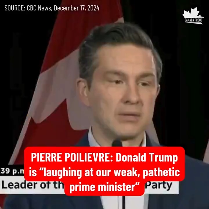 Imagine being the Americans watching this clown show. 🤡