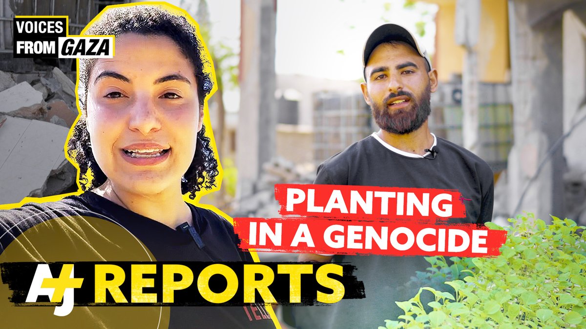 As famine grips Gaza, Bisan Owda shares stories of survival: farmers planting in the rubble, fishermen risking bombs to catch fish, and residents refusing to give up. #GazaUnderBlockade