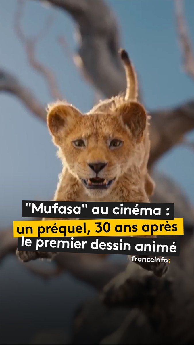 30 ans après le premier dessin animé, "Le Roi lion" revient au cinéma avec "Mufasa"