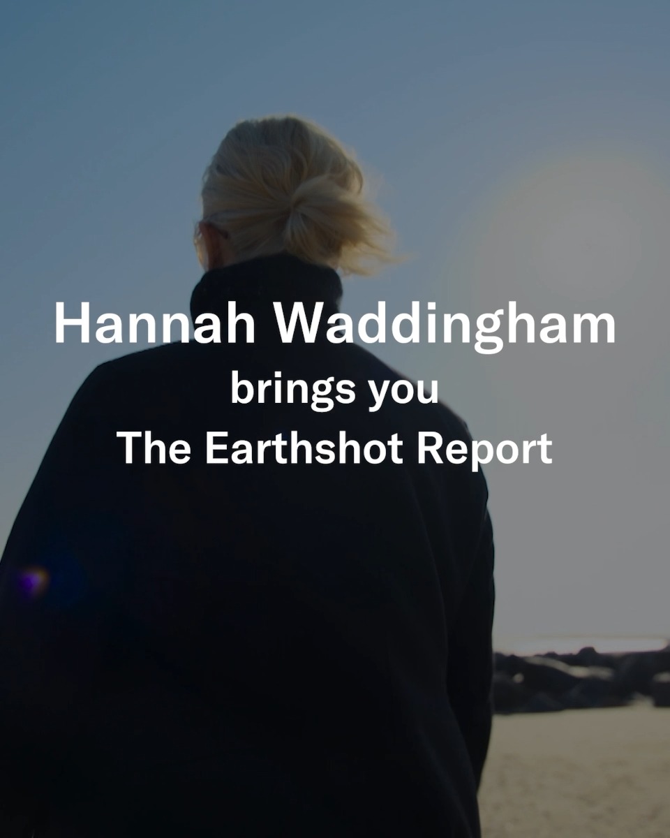 Join Hannah Waddingham for The Earthshot Report as she uncovers the most exciting environmental solutions and the incredible people who are working tirelessly to protect our planet. Watch now on BBC iPlayer in the UK and on PBS in the US.