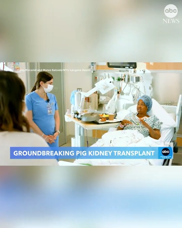 An Alabama woman has become only the fifth person in the world to receive a genetically-modified organ from a pig after undergoing a kidney transplant. ABC News News’ @morganorwood has more details on the groundbreaking procedure.