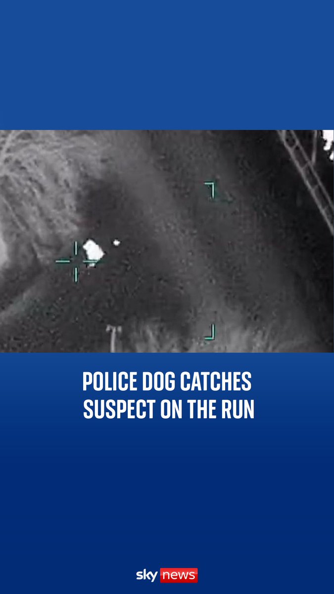 Footage shows a police dog called Eddie from the Greater Manchester Police dog unit stopping a suspect in his tracks as he tried to escape officers.