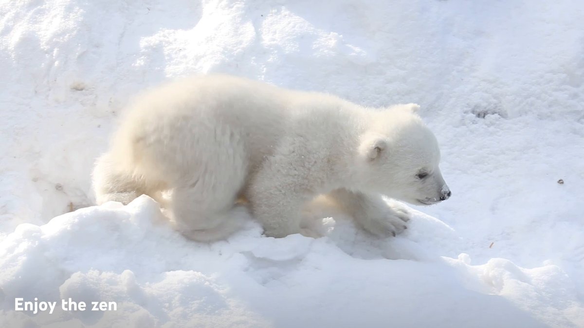 Me looking for the remote to turn on the zen channel.
