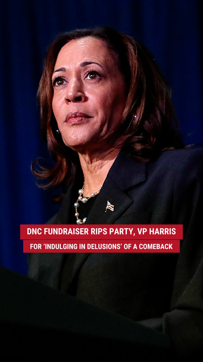 'COMPLETELY FAILED': DNC fundraiser Lindy Li doubles down on her claims that there is a "stench of loser" hanging over the Democratic Party and torches liberals for being "so far removed from reality" on the idea that Vice President Harris could attempt a political comeback.