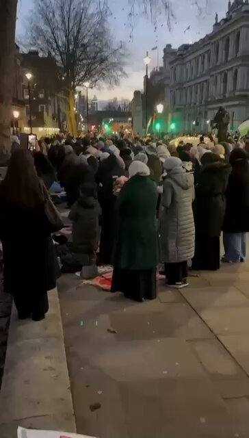 Pro-Palestinian protesters took over central London in order to sabotage the Christmas. It was never about Palestine, it's about showing domination.