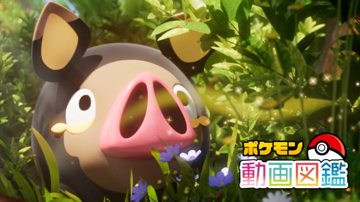 今回の「ポケモン動画図鑑」はグルトンのお話だよ。 グルトンは優れた嗅覚を持つポケモン。 どんな匂いに誘われたのかな? 続きは公式YouTubeチャンネルをチェック! #ポケモン動画図鑑