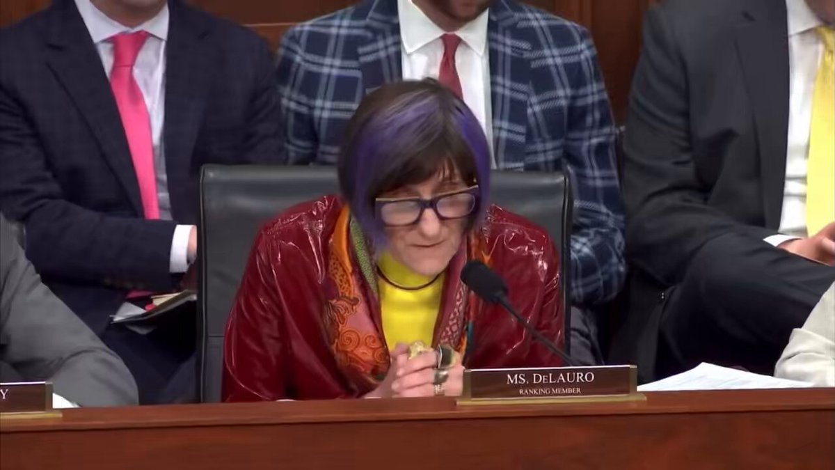 House Democrat in charge of spending: "It is critical to fund the use of female crash test dummies for road equity"