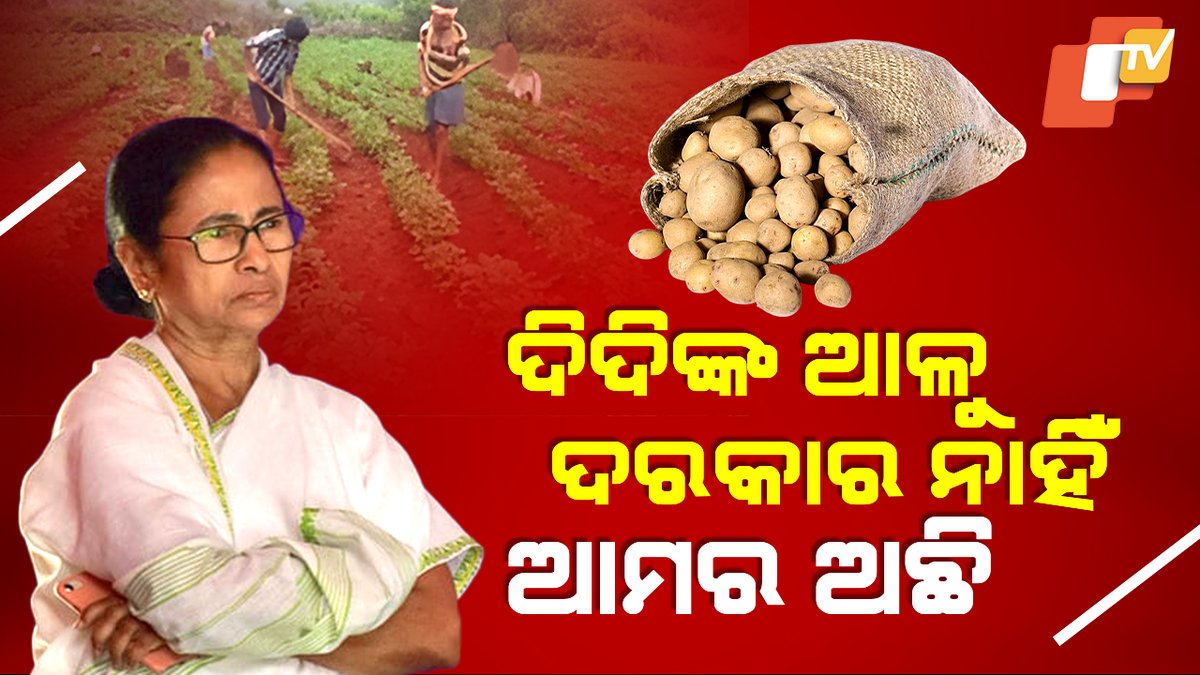 #ଦିଦିଙ୍କ_ଆଳୁ_ଦରକାର_ନାହିଁ ଆଉ ଲୋଡା ନାହିଁ ଦିଦିଙ୍କ ଆଳୁ। ଅଣ୍ଟା ଭିଡିଲେଣି କୋରାପୁଟର ଚାଷୀ। ଆଳୁ ସଙ୍କଟର କରିବେ ନାଶ, ଏକର ଏକର ଜମିରେ କଲେ ଆଳୁ ଚାଷ । #Potato #MamataBanerjee #PotatoFarming #PotatoCrisis #Koraput #odishatv #OTV