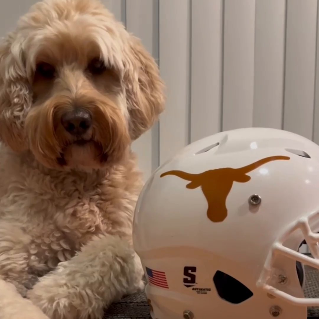 The first round of the College Football Playoff is here and we brought in Gary Striewski's dog, Homie, to make some predictions 👀