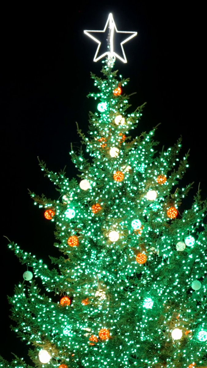 Merry Christmas from the 2024 National Christmas Tree Lighting!