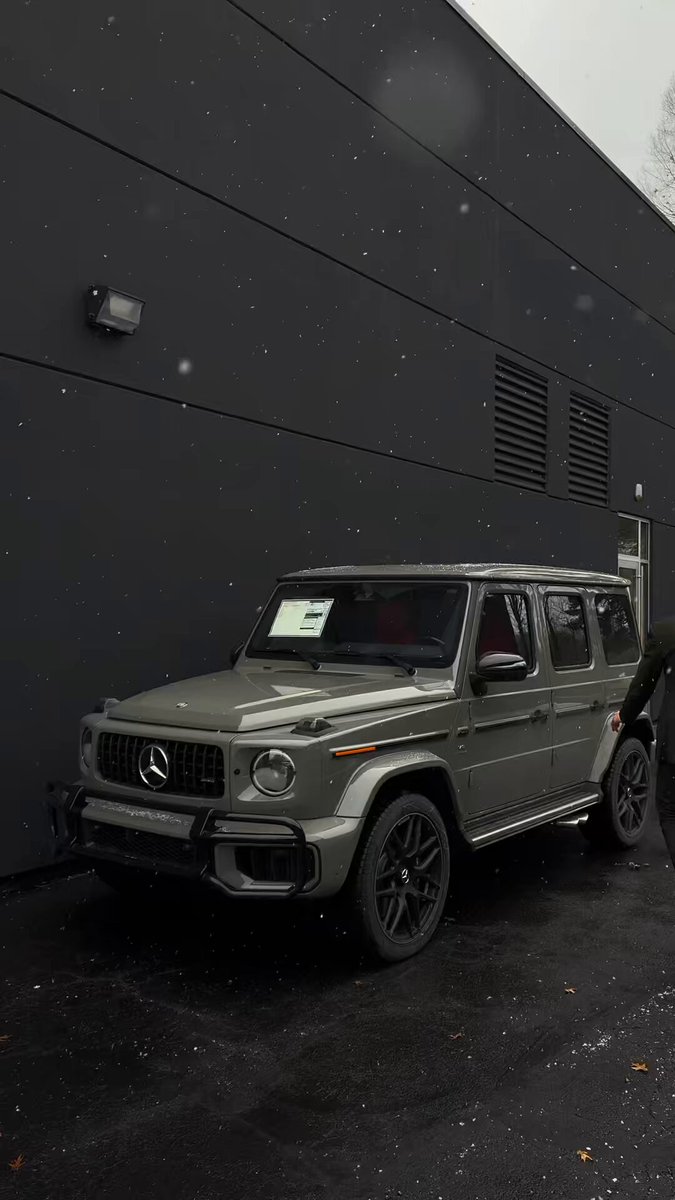 Arabian Grey