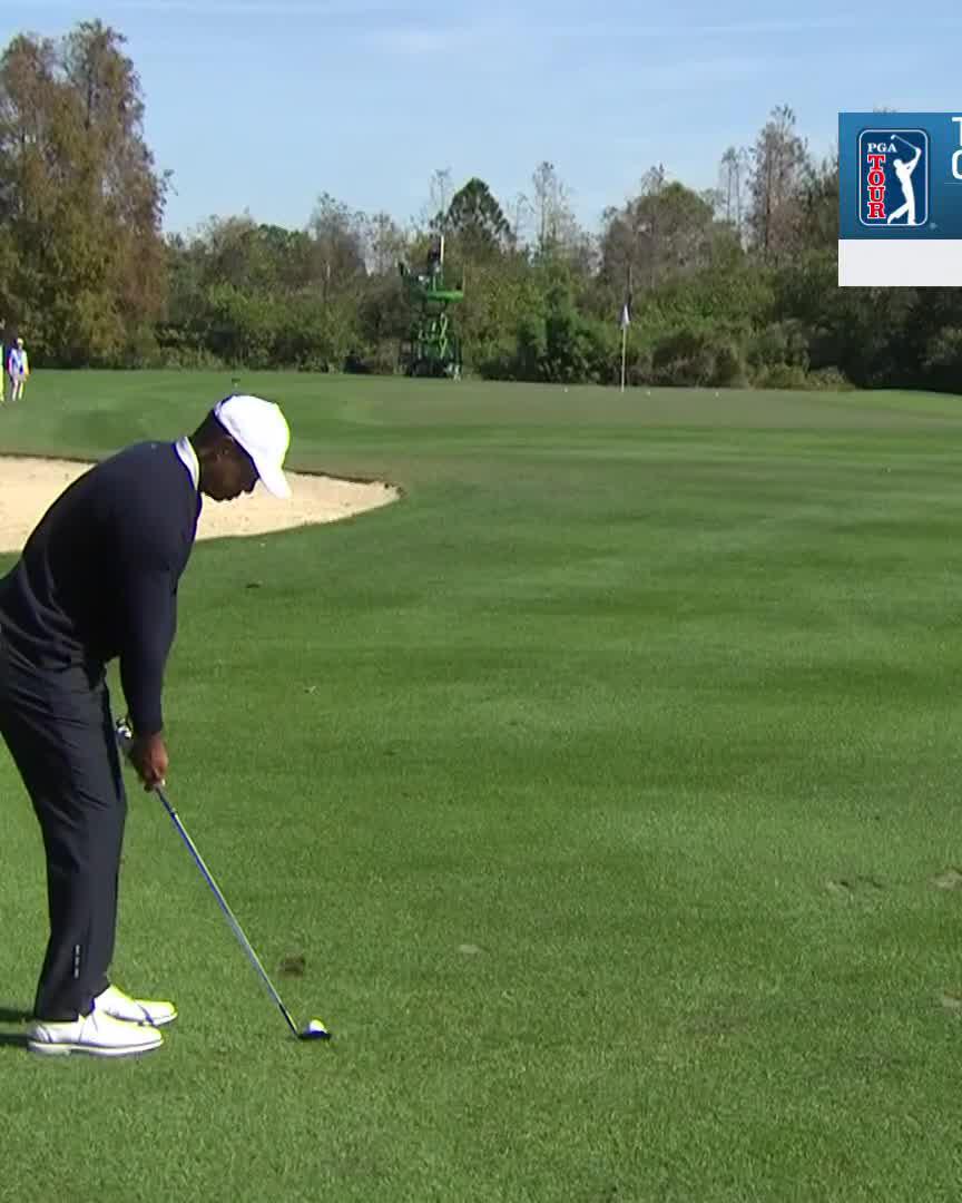 Right at it 🎯 Tiger Woods knocks one close PNC Championship. 📺: Peacock