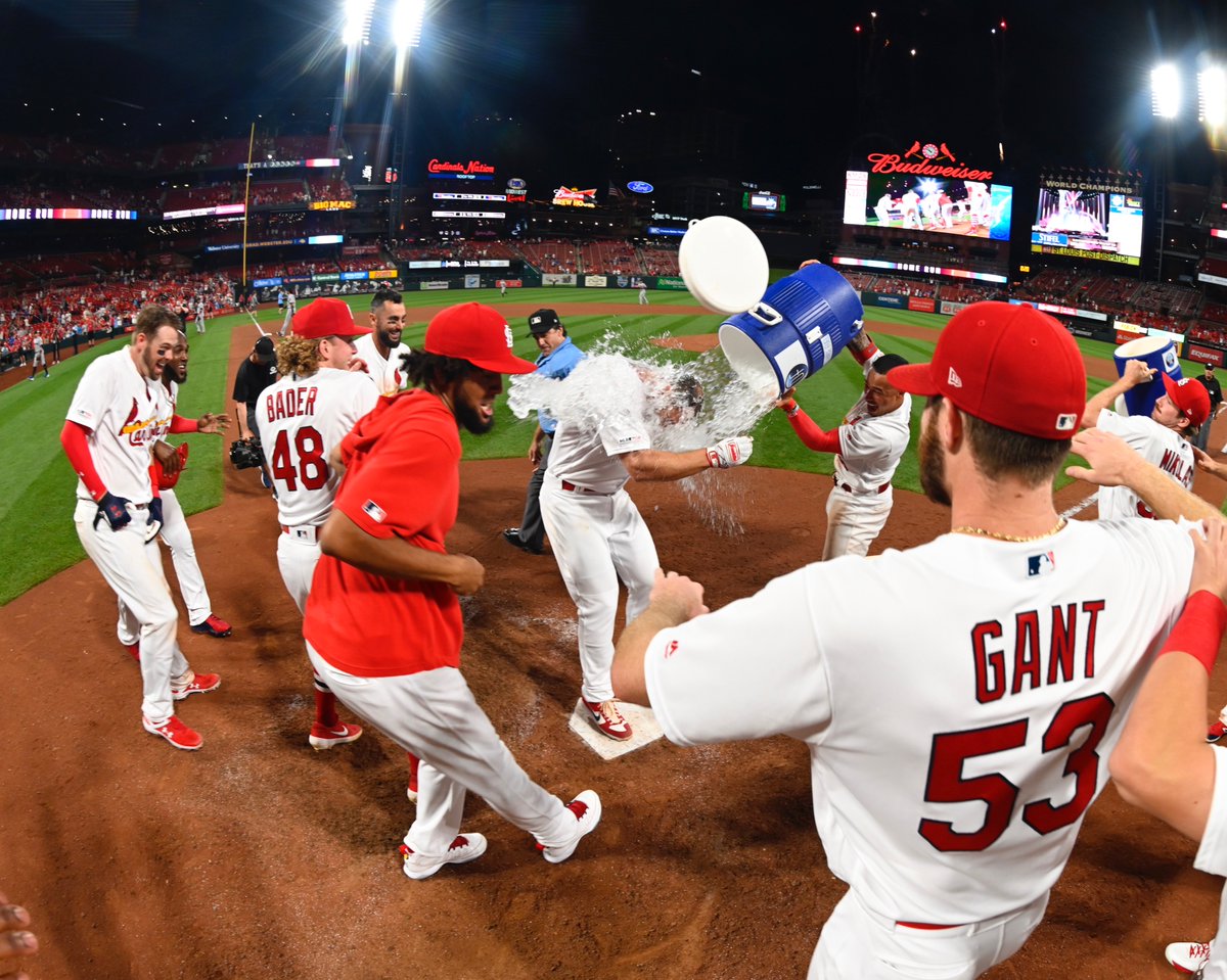 Thanks for 6 seasons of memories, Goldy!