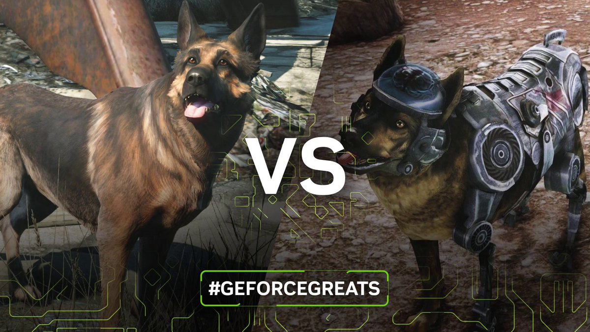 Fallout fans: Who's a good-er boy? Dogmeat or Rex, Mk. III Cyberhound, LEO Support Model, Serial no. B955883? 🐶 #GeForceGreats