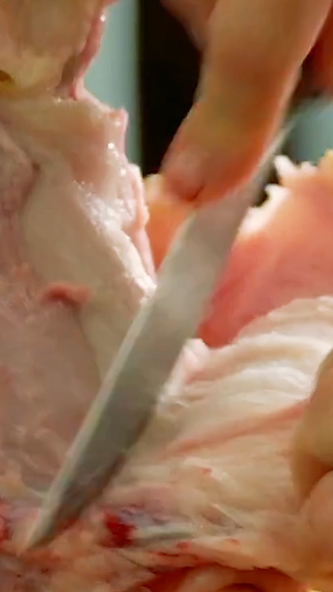 Does your #Christmas dinner scream? There’s no silent night at the slaughterhouse.
