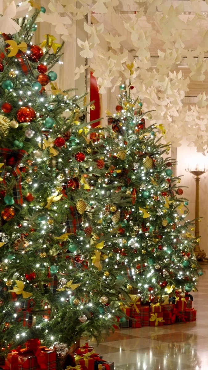 Wishing your home peace and light this holiday season.
