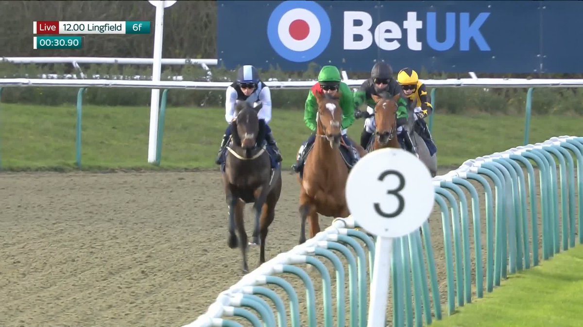 Back to winning ways! Needlepoint reels in Zip It Up to score at Lingfield Park for Freddie Larsen and Amy Murphy Racing...