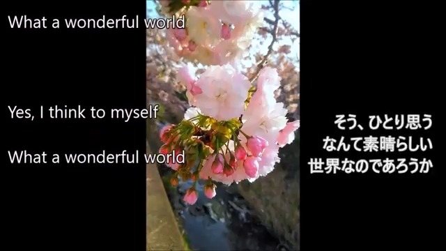What a Wonderful World （この素晴らしき世界） Louis Armstrong カバー 短い動画なので全編投稿しました 無加工で、最後だけ、エコーをかけています 色々歌っています チャンネル登録もよろしくお願いします♪ ＃歌ってみた ＃洋楽好き ＃音楽好きな人と繋がりたい