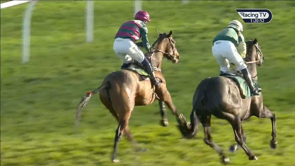 Gritty effort from Ede'iffs Rock Fakenham Racecourse 👇🏻