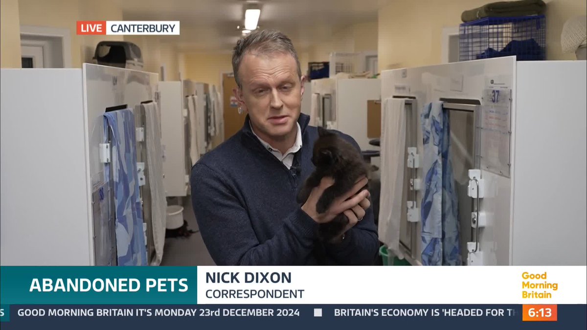 The RSPCA have told Good Morning Britain that they have never been so busy in the run up to Christmas. The animal charity have warned that they are so overwhelmed that they're having to resort to using private boarding facilities for abandoned pets. Nick Dixon reports.