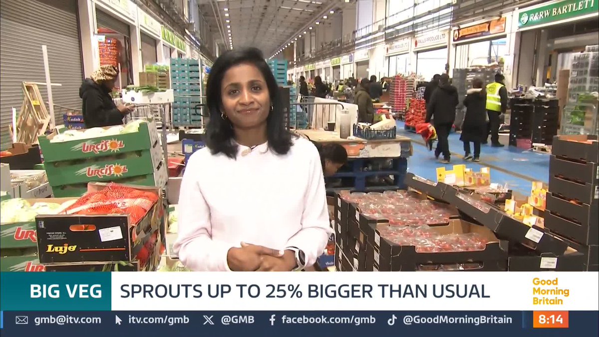 Good news if you're buying your Christmas veg today. Farmers say some traditional favourites are up to 25% bigger this year. The bumper harvest is thanks to all the extra rain this year. Nitya Rajan reports.