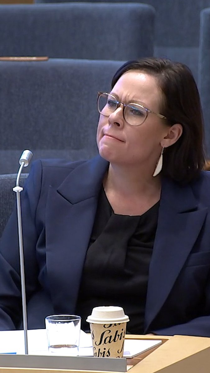 Medan andra riksdagsledamöter strävar efter saklig debatt och samförstånd, använder gambiern Malcolm Jallow sin talartid till att anklaga utrikesministern för “rasism” – dessutom på knagglig svenska.