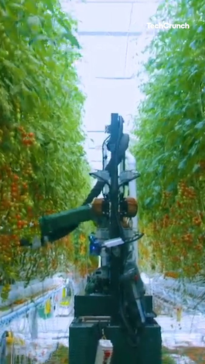 YC-backed Four Growers builds produce-harvesting autonomous robots to help solve greenhouse labor shortages.