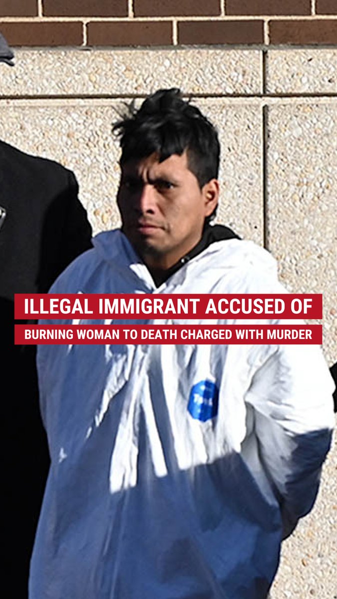 PREVIOUSLY DEPORTED: The illegal immigrant who was arrested in connection to the heinous death of a woman set on fire and burned to death on a subway train in New York has been charged with first- and second-degree murder, as well as first-degree arson.