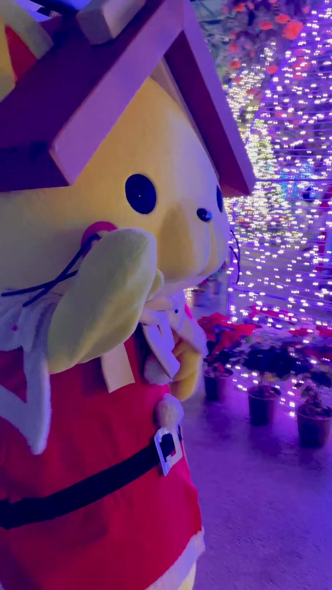 めりーくりすますにゃ〜🌟 *॰‹‹\(*´ω`* )/››‹‹\( *)/››‹‹\( *´ω`*)/››*.+ #MerryChristmas #サンタさん #松江フォーゲルパーク #しまねっこ