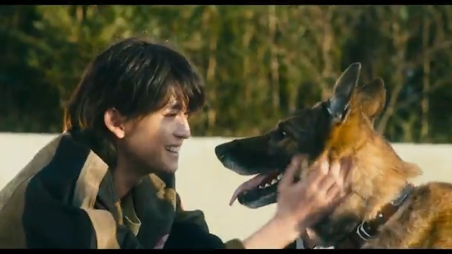/ 最新予告映像、解禁! \ 🎬2025年3月20日(木・祝)公開 #高橋文哉×#西野七瀬 映画『#少年と犬』 その犬は5年の歳月をかけ、 東北から九州まで 3000キロを超える旅をした。 ただ…、たった1人の 大切な人に会うために。 映画『少年と犬』公式