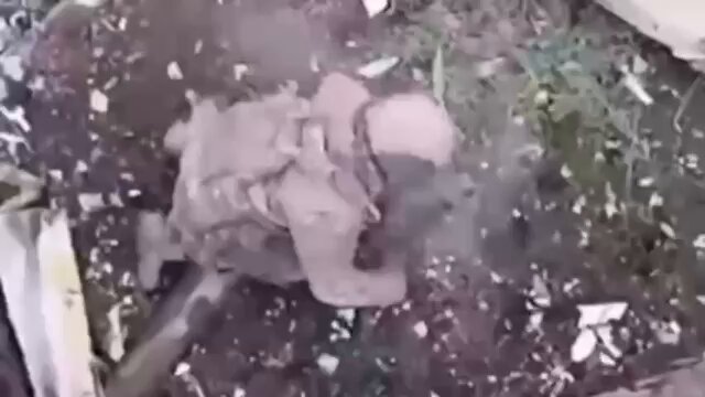 聽無人機聲音，跪下開槍