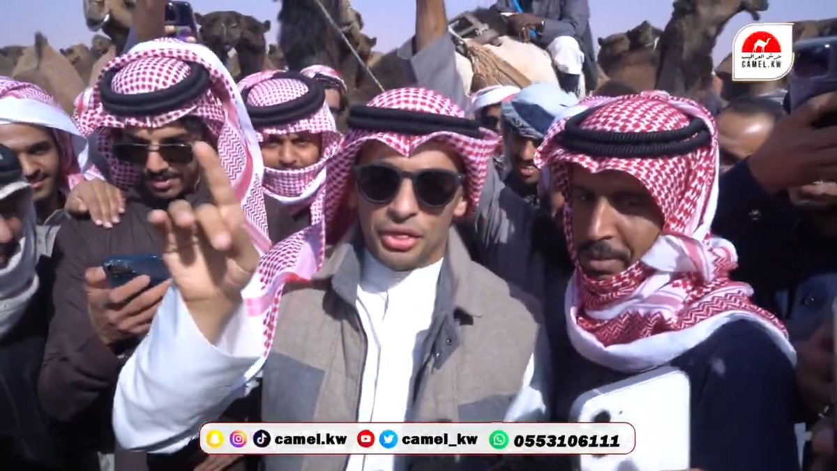 مسيرة منقية ندر الصفر للمالك دبوس الدبوس #مهرجان_الملك_عبدالعزيز_للابل9 #منصه_حرش_العراقيب_الاعلامية #جائزة_الملك_عبدالعزيز_للابل9 #عام_الابل_2024 #الصفر عبدالله الدبوس 785 #الدبوس