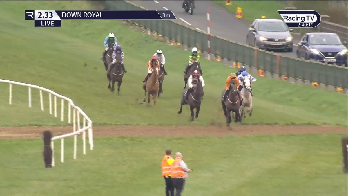 It's On The Line beaten on his return as Big Interest looks another useful prospect for David Christie Down Royal Racecourse 👇🏻