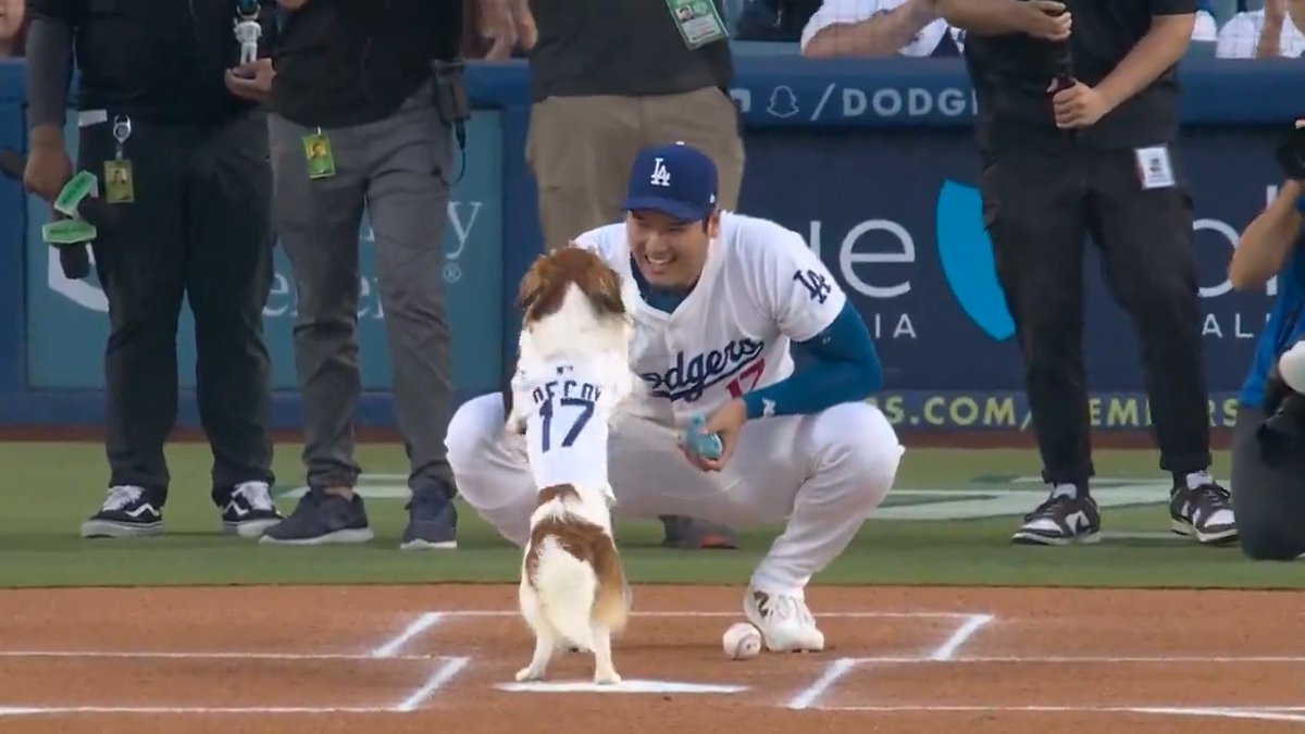 Our gift to you … over 50 minutes of the best dog content you can find on a baseball field!