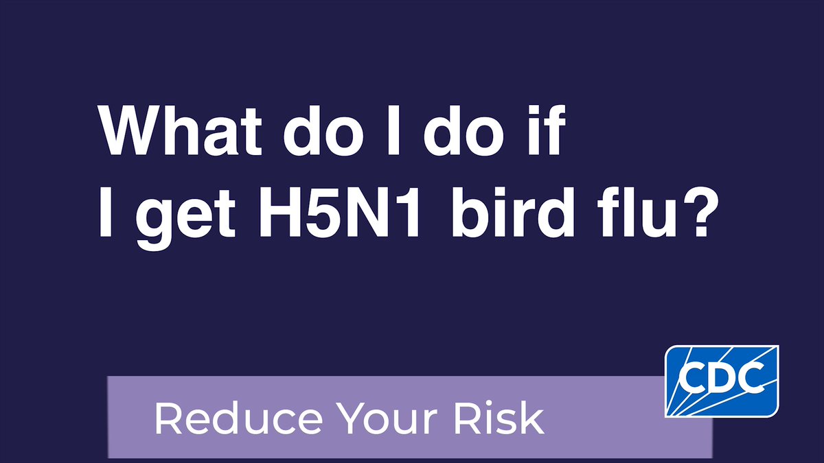 #H5N1 #birdflu can be treated with flu antiviral drugs which work best when started soon after symptoms begin. More: