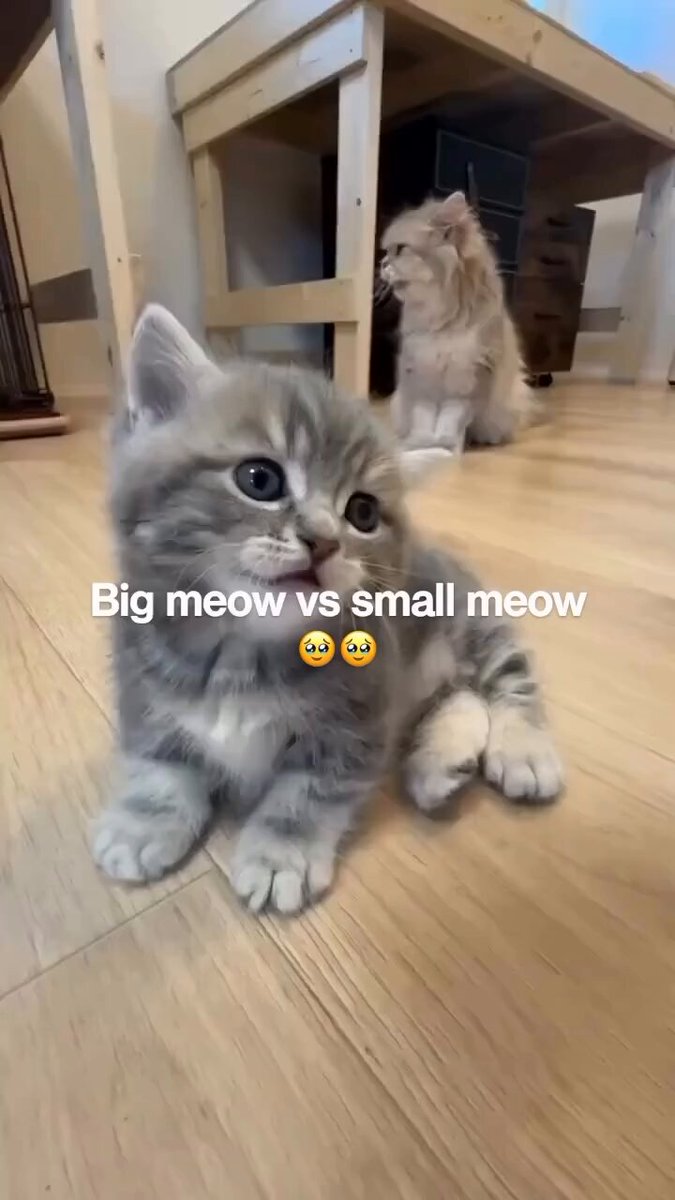 look at his face 😭