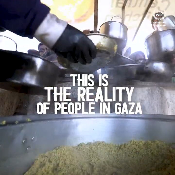 A ceasefire in #Gaza is long overdue. Life is on pause for over 2 million people without access to food, water, shelter. Despite our best efforts to deliver life-saving aid, it's impossible to meet people’s needs in the current scenario of conflict, insecurity & restrictions.