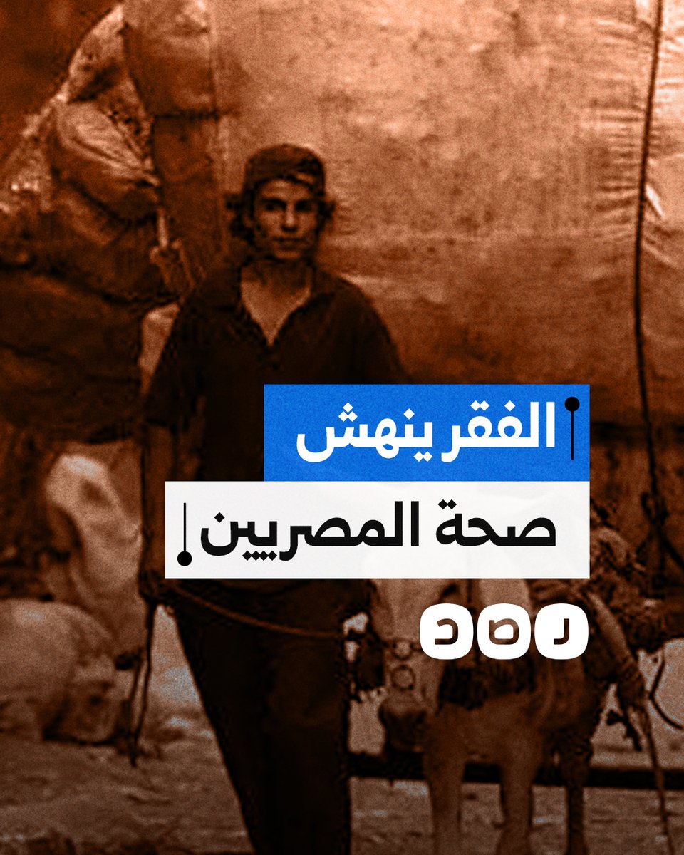 أرقام صادمة عن سوء التغذية وانعدام الأمن الغذائي في مصر.. ما التفاصيل؟