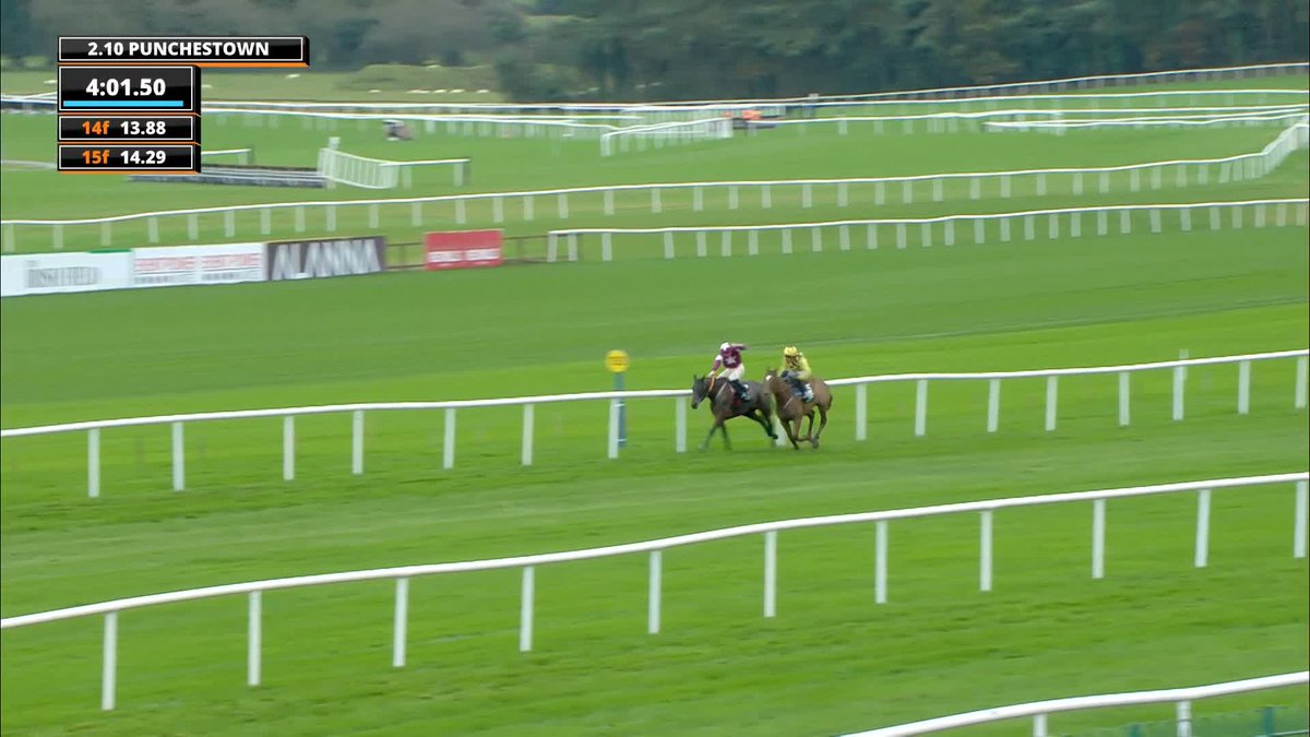 😍 Brighterdaysahead 🆚️ State Man round 2 at Leopardstown today! Just like Galopin Des Champs, State Man took a massive blow after getting beat, he'll be race fit today. 👀 He should be beating the Mare with no excuses for Willie Mullins today.