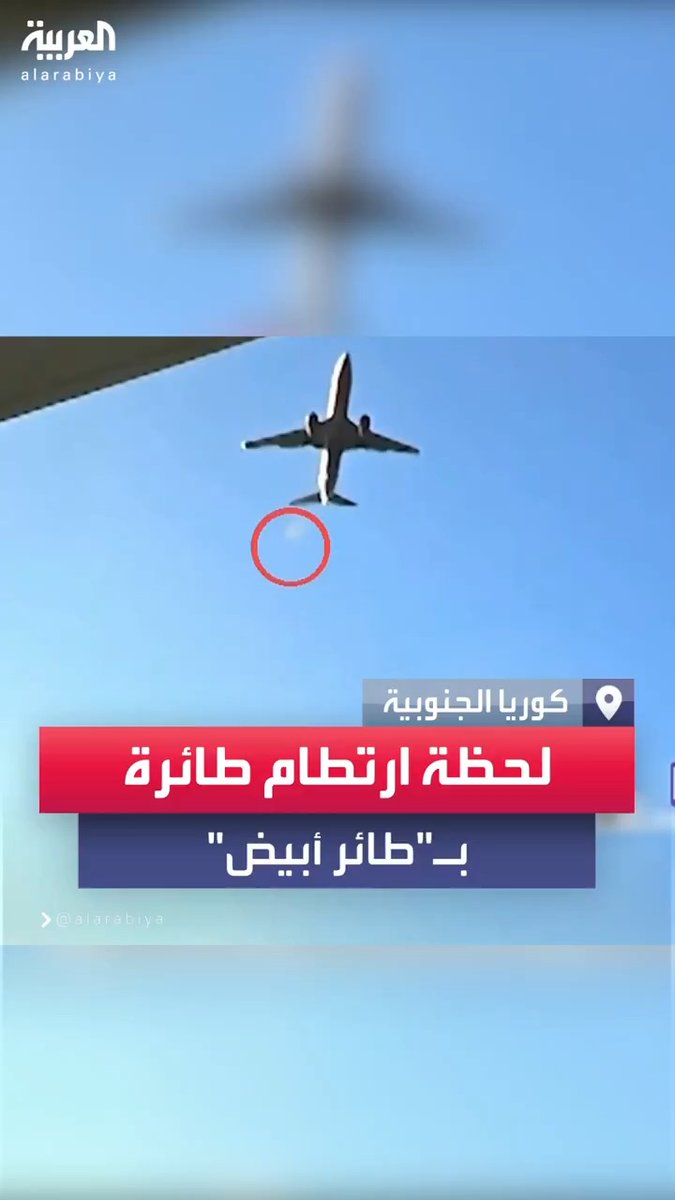فيديو نشرته وسائل إعلام كورية جنوبية يظهر لحظة ارتطام الطائرة المنكوبة بـ"طائر أبيض" قبل ثوانٍ من انفجارها في مطار مو أن #كوريا_الجنوبية #العربية
