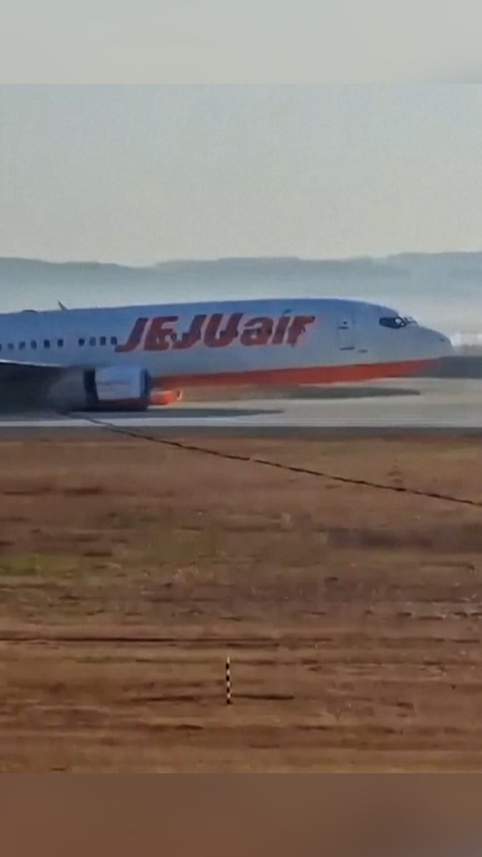 A video captured the moments before a plane with 181 people on board crashed on landing in an airport in South Korea. All but two people are feared dead.