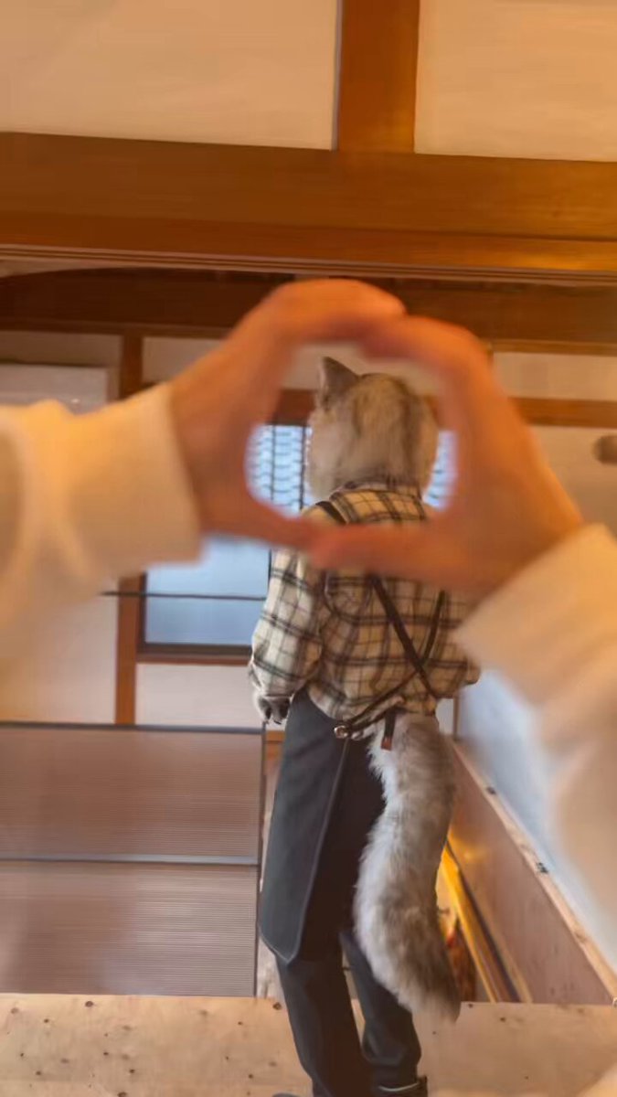 マズルアタック🥜🐺 (ボヤボヤですみません🙏