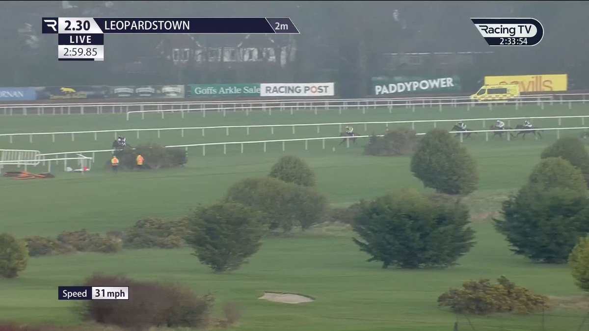 Oh My God That was frightening from BRIGHTERDAYSAHEAD 😮 You can kiss goodbye to her running in the Mares Hurdle ❌