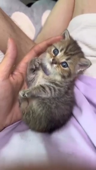 adorable baby 🥰