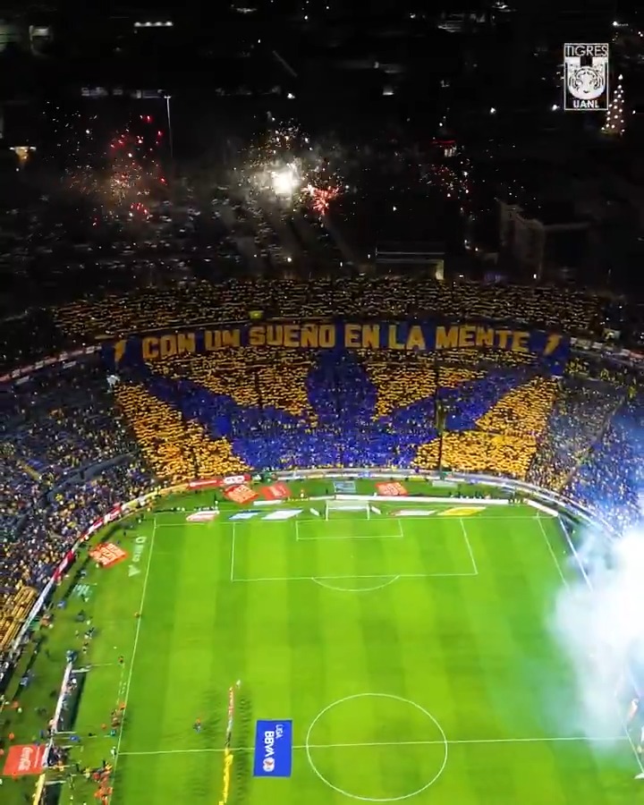 💛🐯 Gracias por ser en este 2024 nuestros eternos acompañantes y llevar la pasión por Tigres a todos lados. ¡𝗜𝗻𝗰𝗼𝗺𝗽𝗮𝗿𝗮𝗯𝗹𝗲 𝗛𝗮𝘆 𝗨𝗻𝗮 𝗦𝗼𝗹𝗮! 🇺🇦
