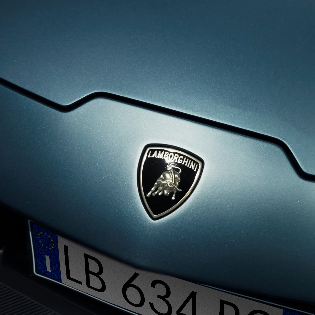 We barely even noticed 2024 slip by, but it definitely noticed us. #Lamborghini CO2 Emission and Fuel consumption combined: