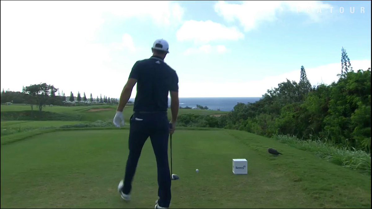 Throwback to DJ nearly making an ace on the 433 yard par 4 12th at Kapalua in 2018. It’s such a shame this didn’t just go in! One of the greatest shots ever? “Strap yourselves in.”