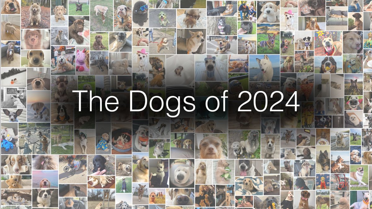 The Dogs of 2024