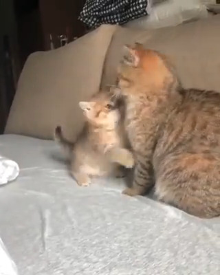 so cute 💖💘